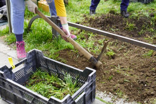03182023_Grünpatinnen Glockenback_20