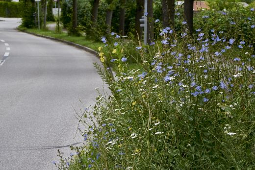 Eine der Experimentierflächen des Projekts 