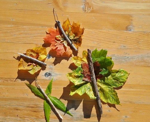 Herbstlaub, Foto: Helene Dötsch