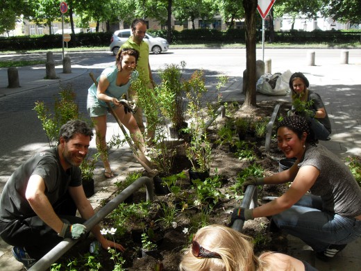 Die Grünpaten verschönern Münchner Straßenzüge
