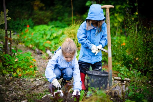 Die Ökolumbini beim Gärtnern, 2012, Foto: Green City