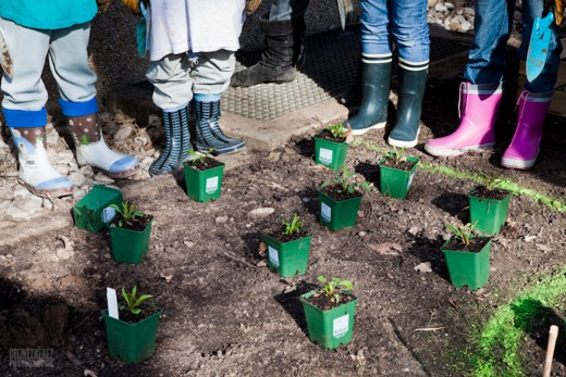 Grüne Schule, Green City e.V., Foto: Thelet