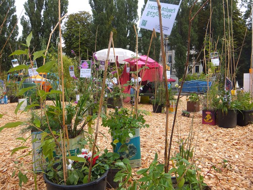 Wabengarten, Foto: Green City