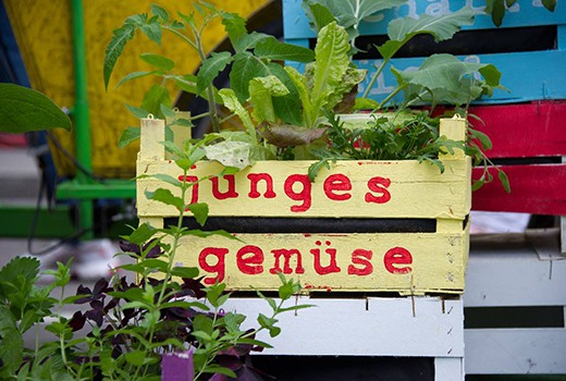 Junges Gemüse, Streetlife Festival, Green City e.V., Foto: Tobias Hase