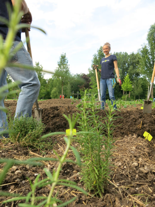 20140605_GreenCity_ EssbareStadt_KerstinStuiber (20)