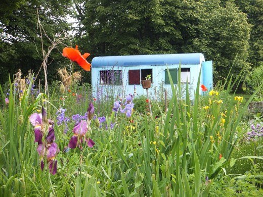 Wabengarten, Green City e.V., Foto: Green City e.V.