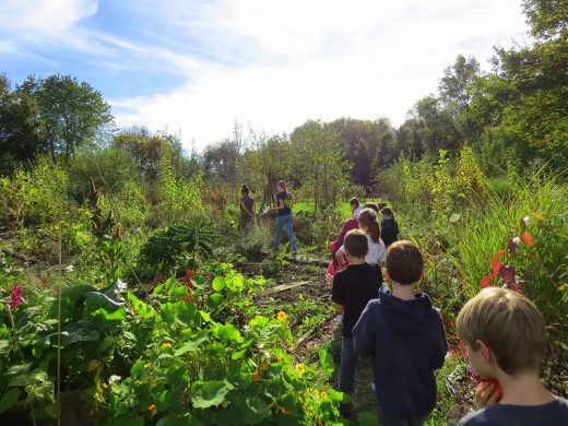 20141018_Oekolumbini_Kuerbis_GreenCity_JasminMena_web (17)