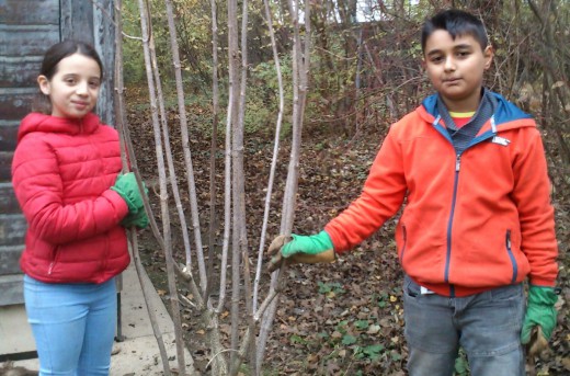 Weltgarten, Perlacherschule, Grüne Schule, Green City e.V.