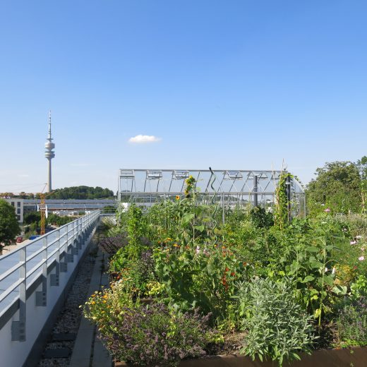 2015-07-15_Vortrag_Wagnis 4 Dach_Wolfgang Heidenreich (25)