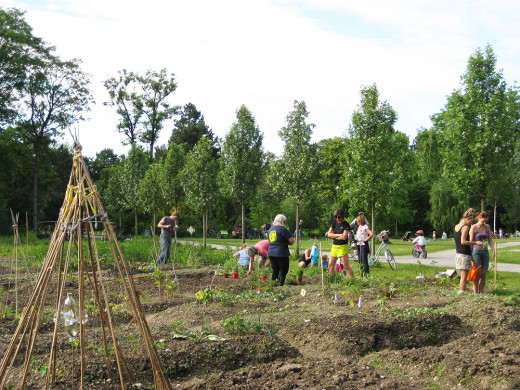 Essbare Stadt, Foto: Green City e.V.
