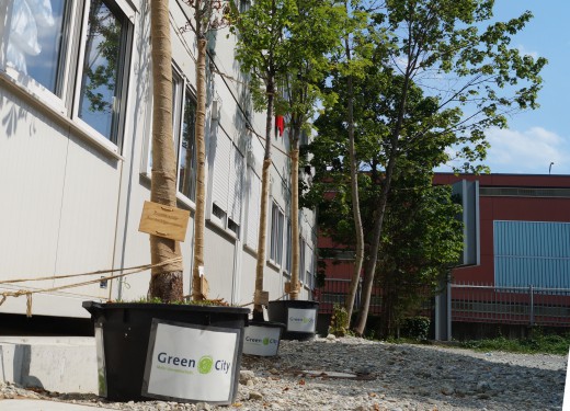 Wanderbaumallee, Mc Graw Dependence, Foto: Daniel Reitmeier