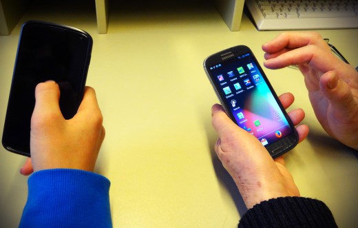 transfer Green City e.V., Foto: Kerstin Stuiber / Green City e.V.