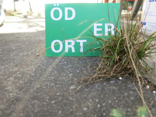 Öder Ort Facebook Aktion; Foto: MaPe