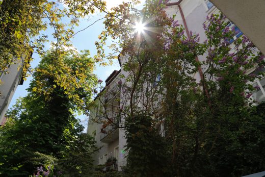 20160505_Fassadenbegruenung_stoeckl_7