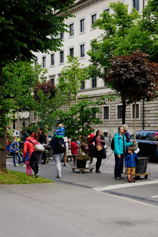 Green City e.V., Wanderbaumallee, Schwanthalterhöhe, Foto: Thomas Pawaserat