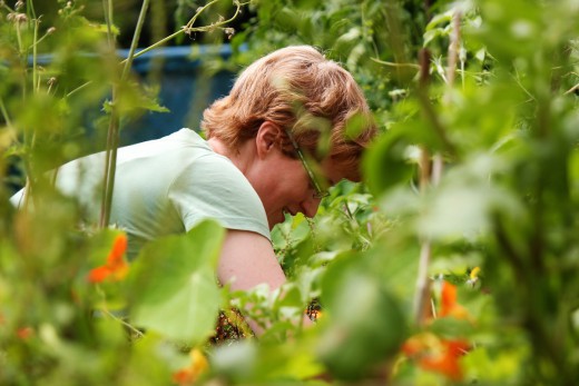 Green City e.V., Giesinger Grünspitz, gemeinsames Gärtnern, Foto: Daniel Westermeier