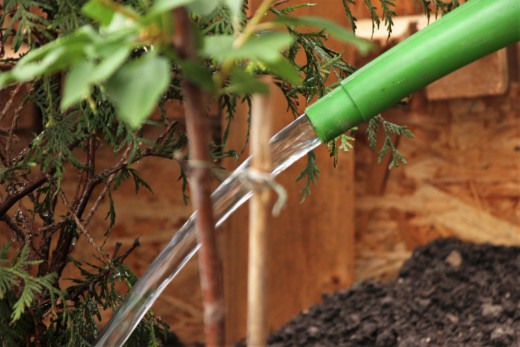 Green City e.V., Giesinger Grünspitz, gemeinsames Gärtnern, Foto: Daniel Westermeier