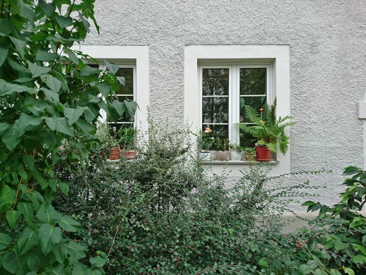 GreenCity_Begrünungsbüro_September_Foto:Grundmann