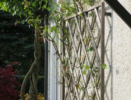 20161024_Menzing_begrünen_Silvia_Gonzalez