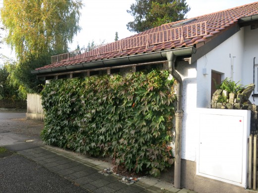 2016_10_24_Menzing_Begrünte_Gebäude_SilviaGonzalez (2)