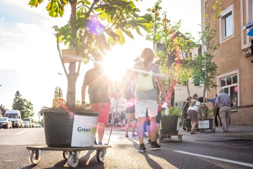 Green City Wanderbaumallee Menzing, Foto: Fabian Norden