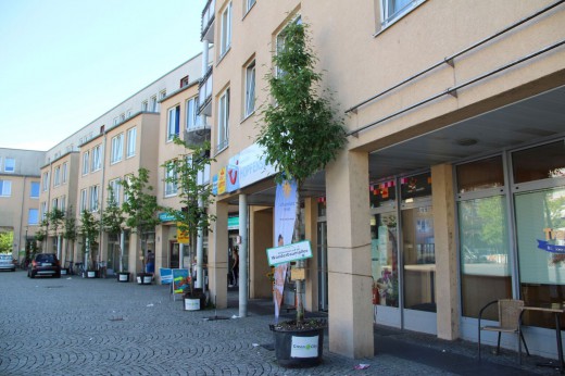 20170613_wanderbaumallee_WSP_Kerstin_Schwabenbauer