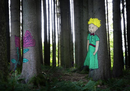 Wald der Bilder, Grünspitz, Foto: Kreativo