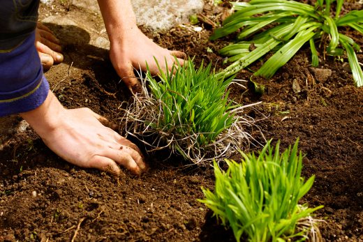 20180413_Grünpaten BA 7 Westpark_Thomas Pawaserat (7)