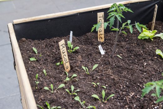 20180502_Green Walls Pasing_Sebastian Henkes (11 von 13)