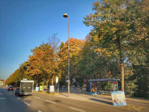 20181018_Baumfällungen_Prinzregentenstraße_Grundmann