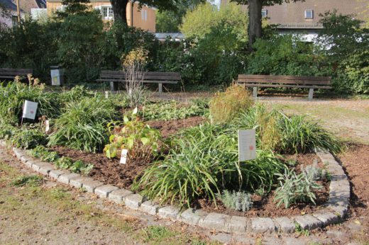 20181020_Lydia Sell (21)