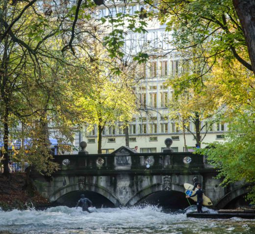 20181025_PrinzeBäume_SimoneReitmeier (1 von 2)