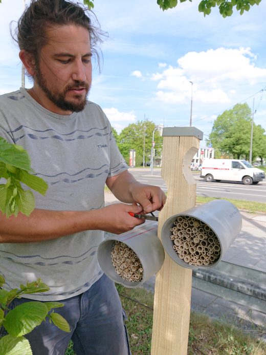 20190502_Installation_Nisthilfe_Christian_Grundmann_1 (25)