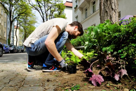 20190517_Gruenpaten Frundsbergerstraße_Pawaserat (11)