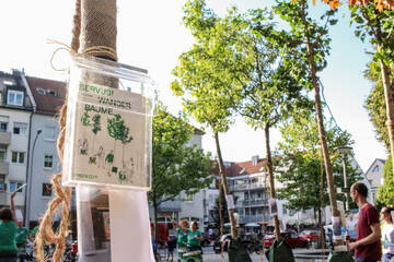 Die Wanderbaumallee startet in eine neue Saison