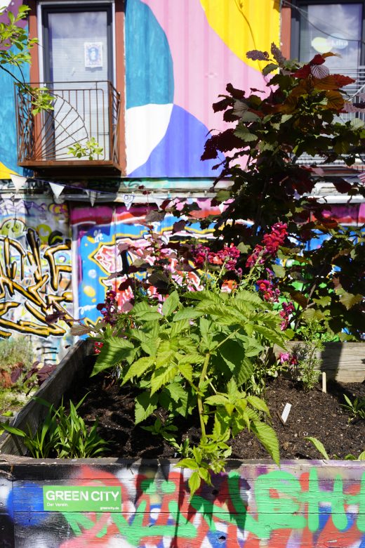 2024 Green City eV BioDivHub3