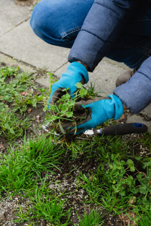 20240319_BISS_GreenCity_SLOCK_014