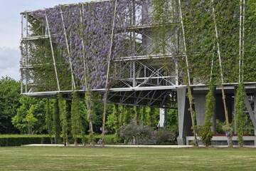 Wandbegrünung an Gebäuden - natürliche Klimatisierung