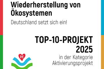 „BioDivHubs“: Münchner Biodiversitätsprojekt in den UN-Top 10