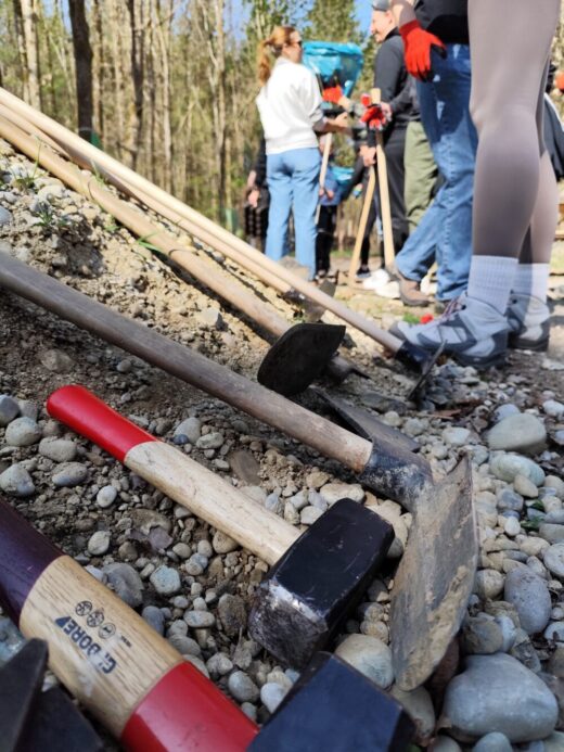 20260417_Baumpflanzungen_Waldschmiede_01 (8) (1)