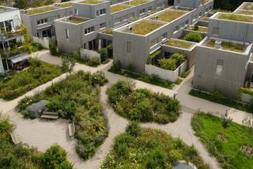 Wettbewerb „Mehr Grün für München“:   Eine Roll-Up-Ausstellung mit Einblicken in begrünte Gärten und Höfe