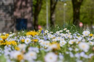 Biodiversität ins Quartier! Unsere BioDivHubs