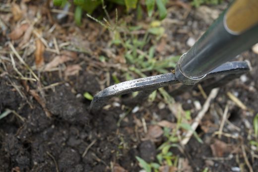 Boden lockern _DSC2980