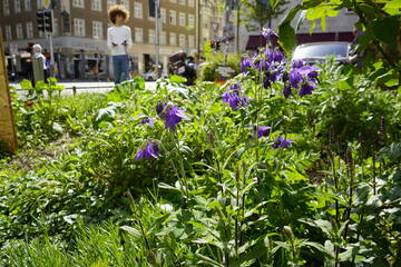 Symposium: „Biodiversität denken. Vom Verstehen verschiedener Perspektiven zum gemeinsamen Gestalten