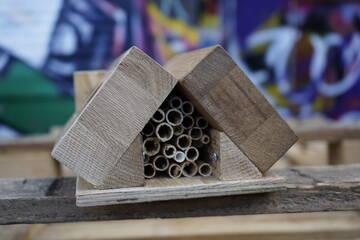 „Bau mit uns Nisthilfen für Wildbienen – Workshop für Groß & Klein“ und Informationsveranstaltung zum Thema Biodiversität im urbanen Raum.