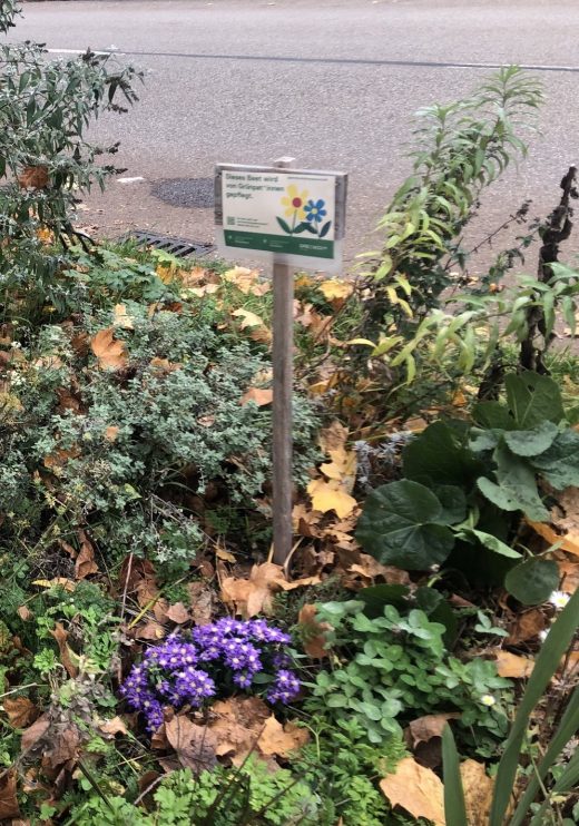 Deisenhofener Str. 44_Blume-Hochformat