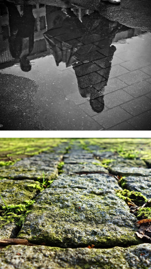 Design ohne Titel (2)