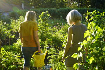 Neuperlach isst grün </br> Creating NEBourhoods Together