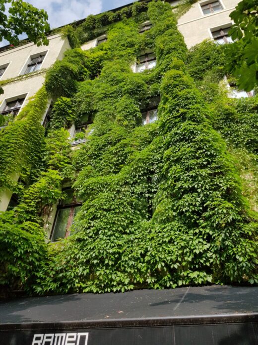 FB_ohneKletterhilfe_2020-06-11_Berlin_Wolfgang Heidenreich (132)