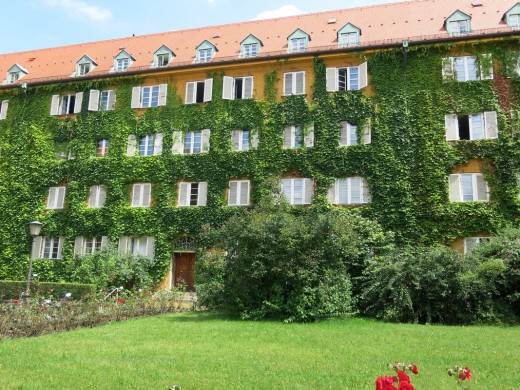 Fassadenbegrünung, Borstei, Foto: Wolfgang Heidenreich